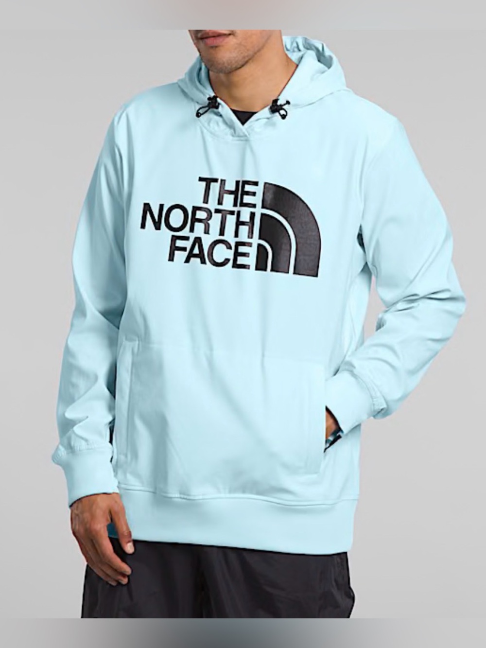 The North Face Tekno Logo Hoodie Mens Large Pullover Sweatshirt Softshell Blue